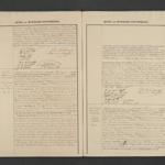 Civil registry of marriages, Tholen, 1875, records 9-11