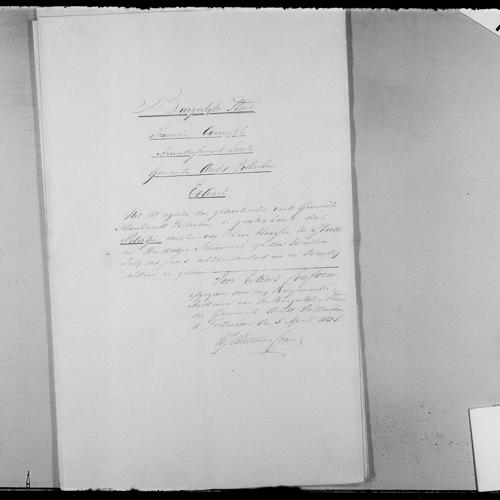 Extract from the civil registry of births, Ambt Vollenhove, for Petertje ter Heide
